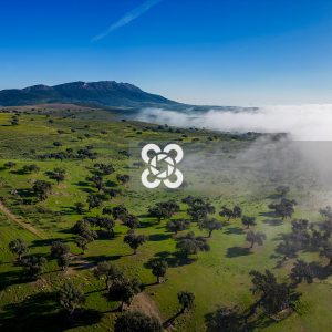 La Dehesa. Paisaje de Portezuelo