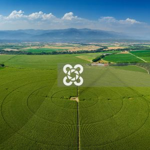 Campo de cultivo en Talayuela