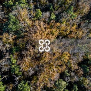 Castañar de Montanchez